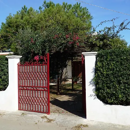 Del Sole Rosa Marina
